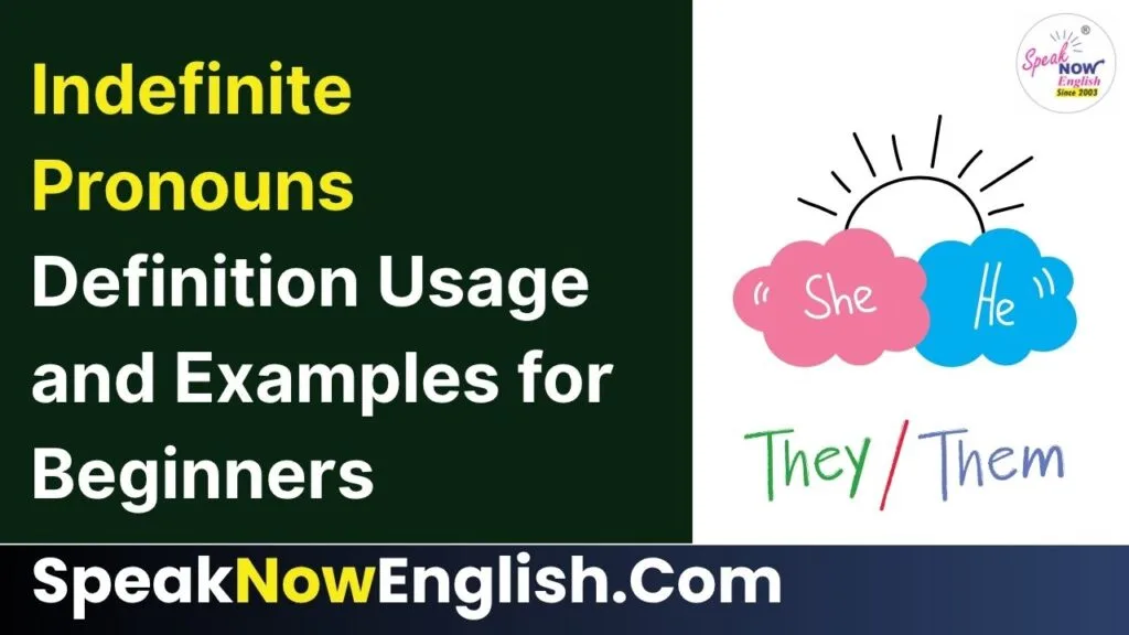 Indefinite Pronouns Definition Usage and Examples for Beginners